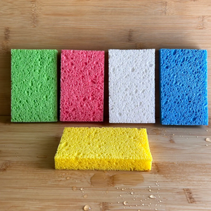 BAMBOO SWITCH | Compostable Cellulose Sponge