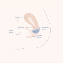 Load image into Gallery viewer, SAALT | Menstrual Disc Duo Pack